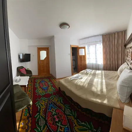 Pensiunea Casa Bianca - Bucovina Guest house Vama (Suceava)