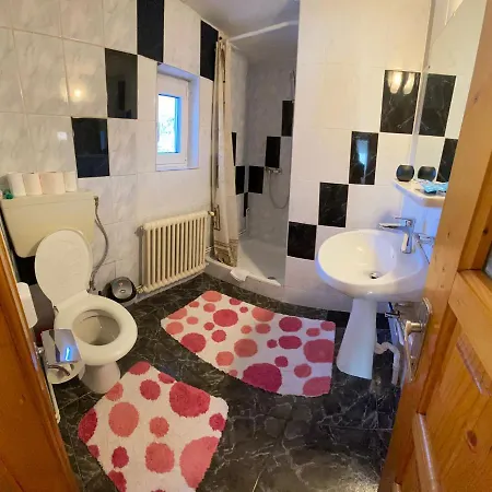 Guest house Pensiunea Casa Bianca - Bucovina