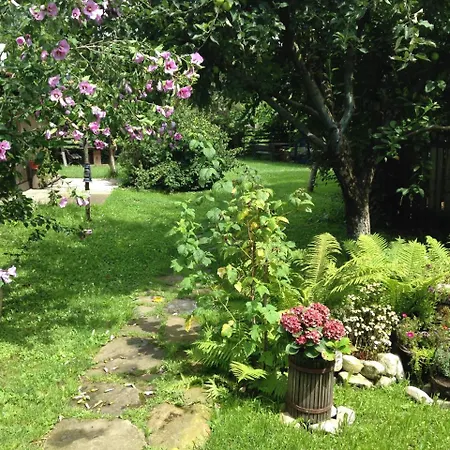 Pensiunea Casa Bianca - Bucovina * Vama (Suceava)